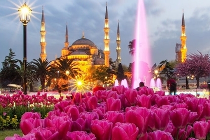 Picture of Истанбул 2НП - Денот на вљубените